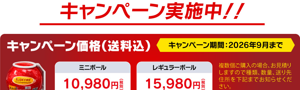 キャンペーン実施中！！キャンペーン価格（送料込）ミニボール10,980円（税別）レギュラーボール15,980円（税別）※1個あたり。複数個ご購入の場合、お見積りしますので種類、数量、送り先住所を下記までお知らせください。